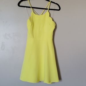 NWT Yellow Scalloped Dress Size XS